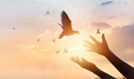 多彩人生丨肺癌晚期治疗近3年转移灶全部消失，免疫力帮母亲“打退”癌细胞