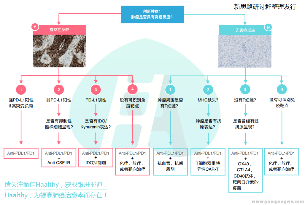 免疫蓝图.png