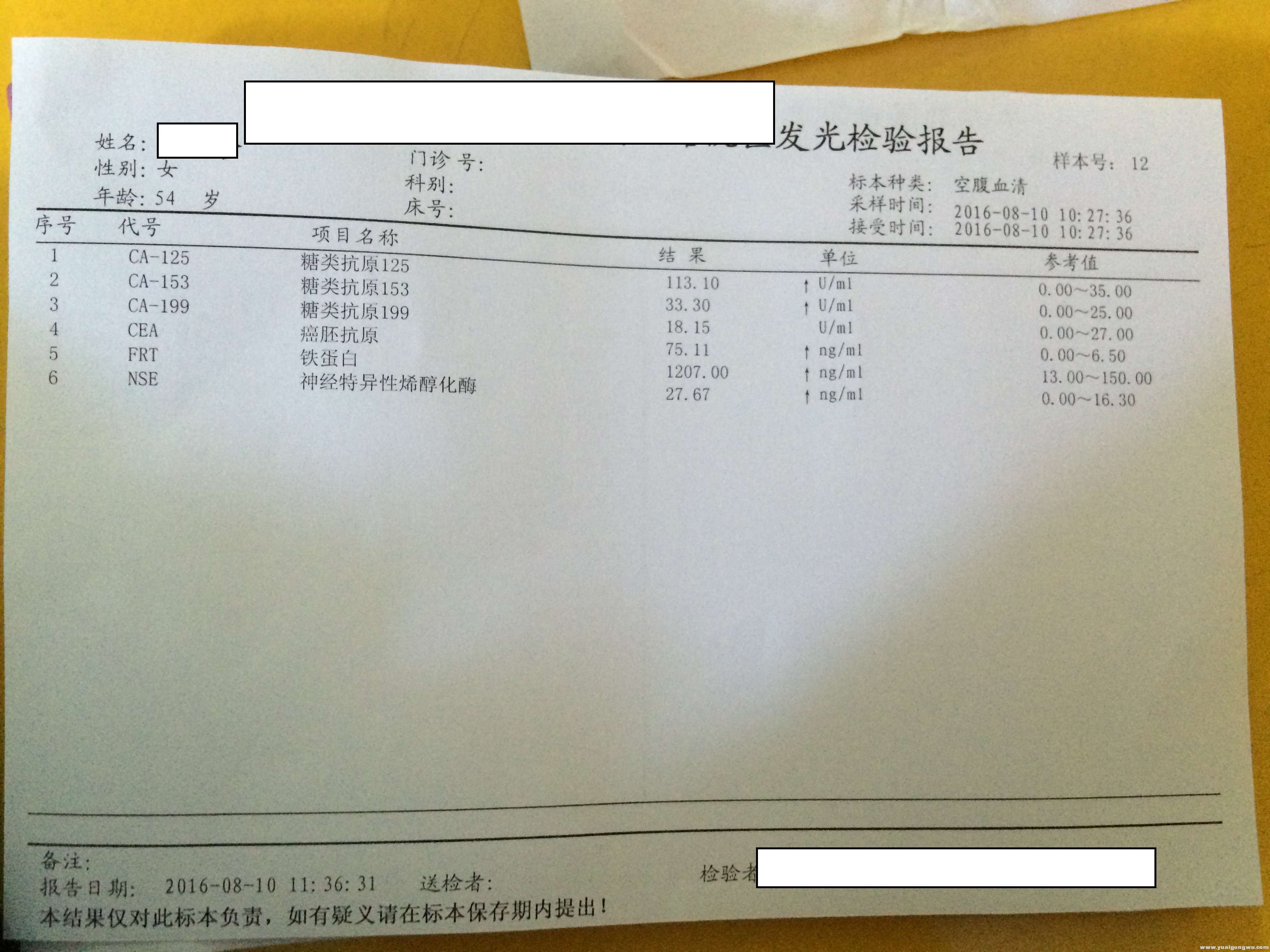 2016-8-10检查血单2.JPG