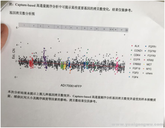 NGS基因检测分析结果1