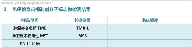 基因检测-2.png